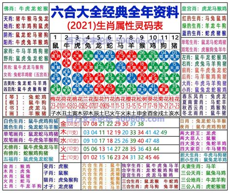 2024 年生肖|2024年生肖表完整版图 2024年生肖表完整版图片